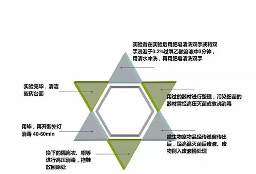 實(shí)業(yè)運(yùn)營(yíng)與建設(shè) 現(xiàn)代經(jīng)濟(jì)發(fā)展的核心驅(qū)動(dòng)力