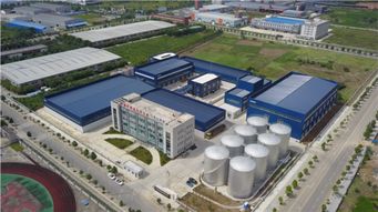 天府菜油 從四川沃土到淘寶平臺，打造國內(nèi)一流糧油品牌的品牌視覺之旅